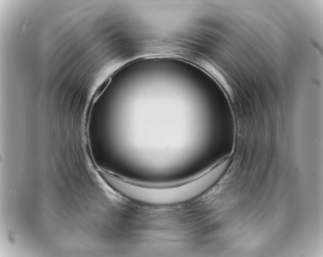 X0000095901485200802011117