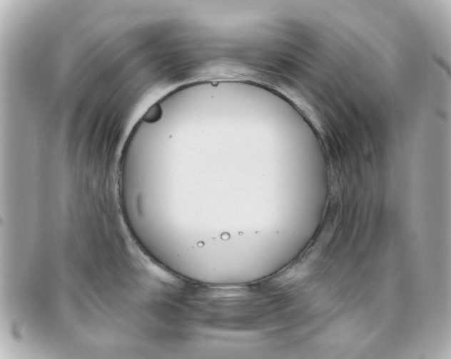 X0000095901486200802011117