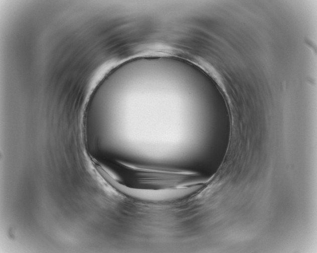 X0000095901488200802011117