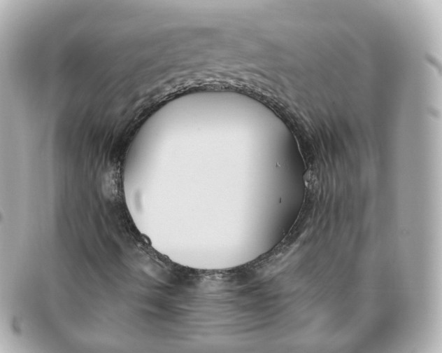 X0000095901490200802011117