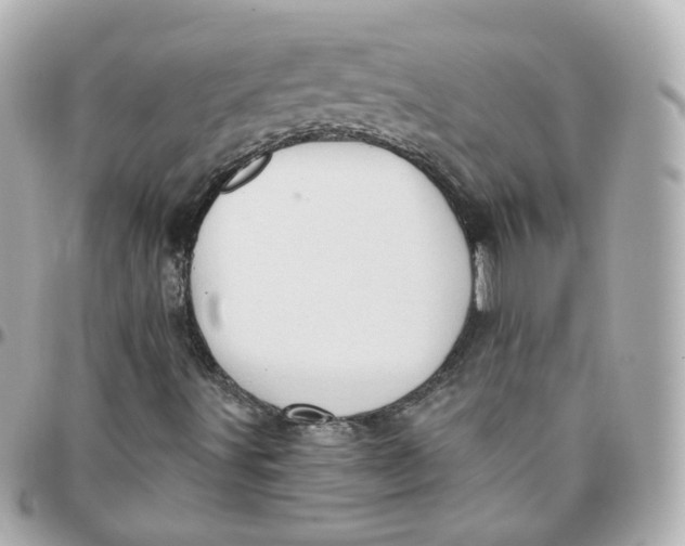 X0000095901491200802011117