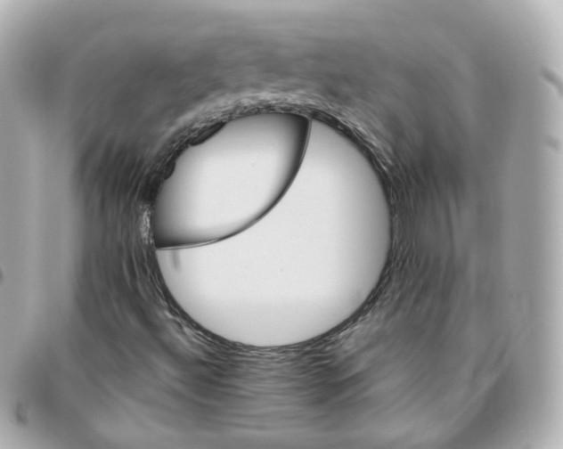 X0000095901492200802011117