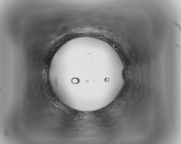 X0000095901493200802011117