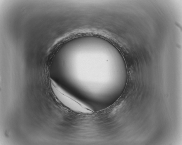 X0000095901494200802011117