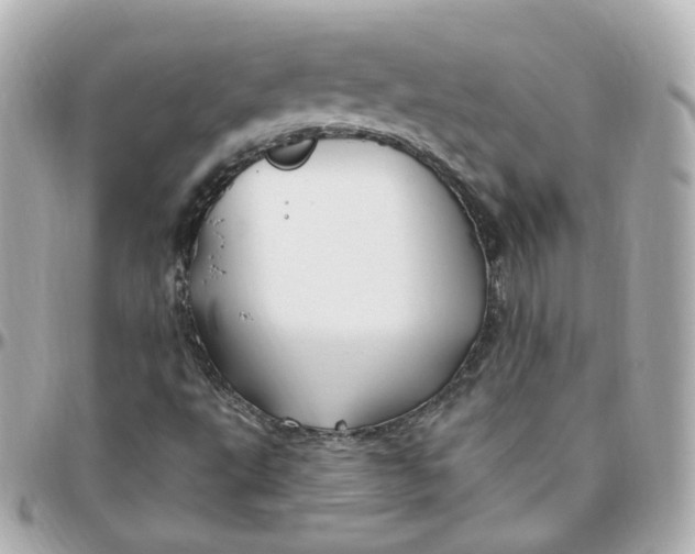 X0000095901495200802011117