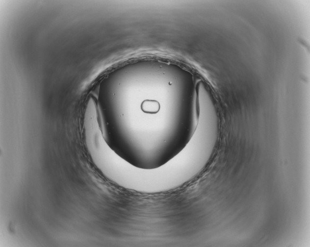 X0000095901496200802011117