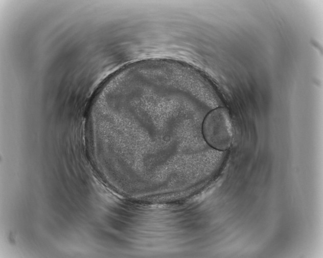 X0000095901497200802011117