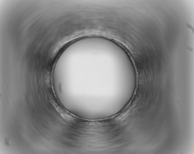 X0000095901499200802011117