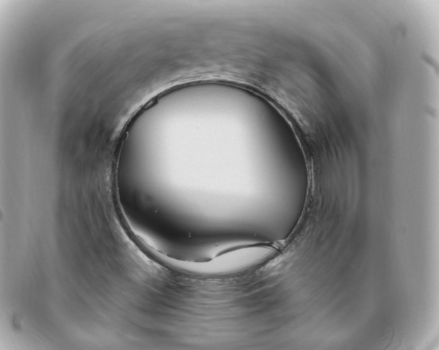 X0000095901500200802011117