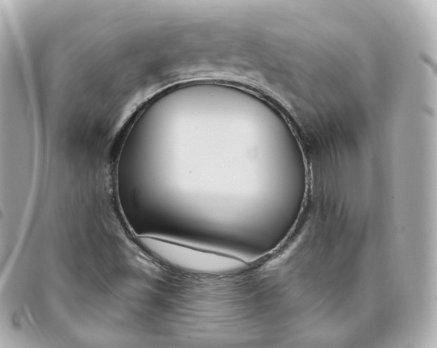 X0000095901501200802011117