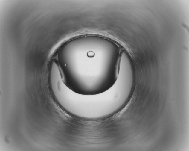 X0000095901502200802011117