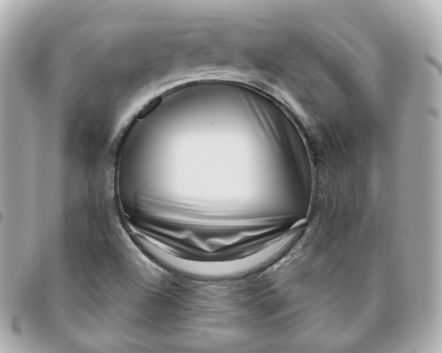 X0000095901504200802011117