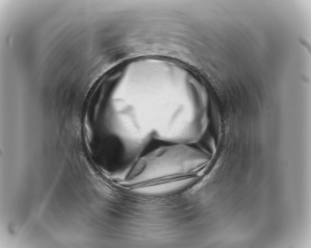 X0000095901505200802011117