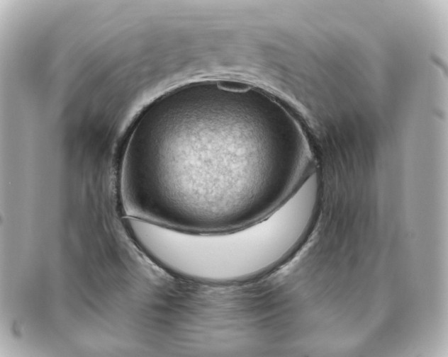 X0000095901506200802011117