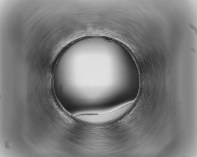 X0000095901507200802011117