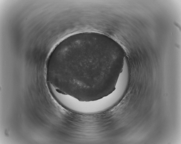 X0000095901508200802011117