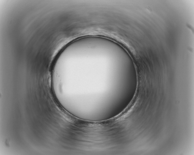 X0000095901509200802011117