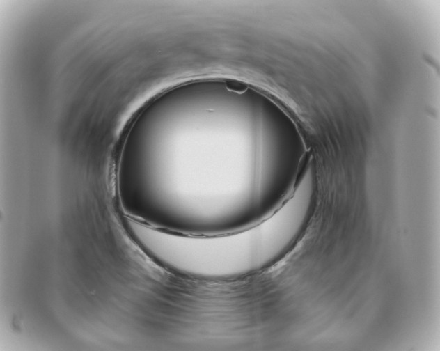 X0000095901510200802011117