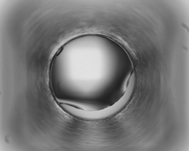 X0000095901512200802011117