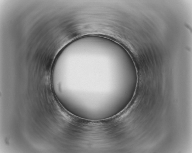 X0000095901513200802011117