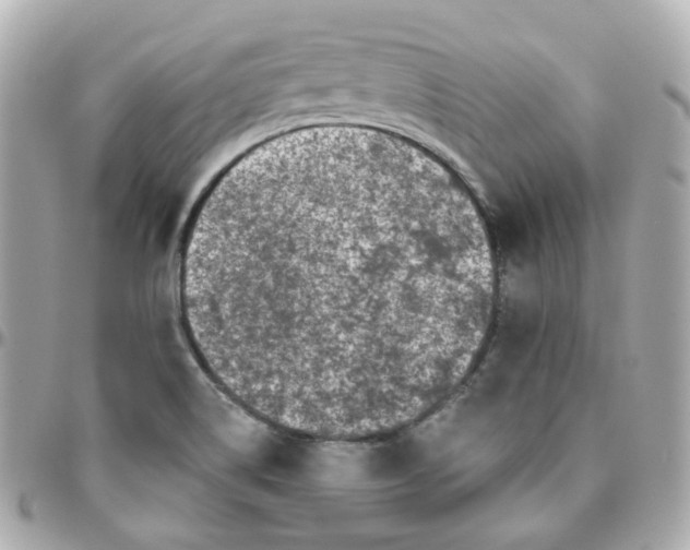 X0000095901514200802011117