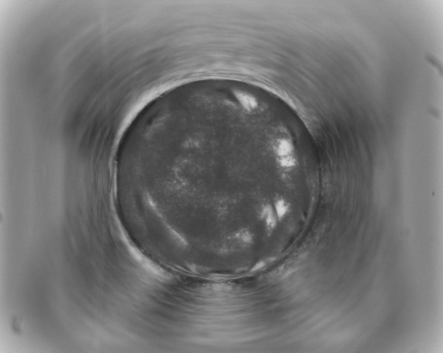 X0000095901515200802011117