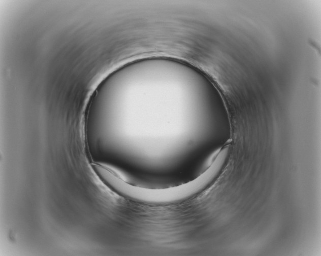 X0000095901516200802011117