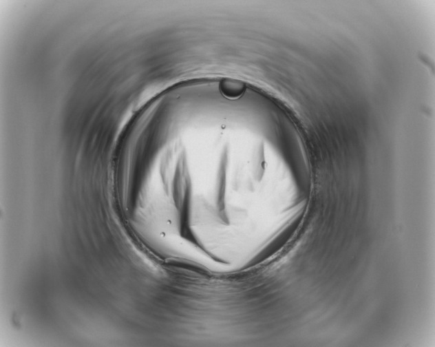 X0000095901517200802011117