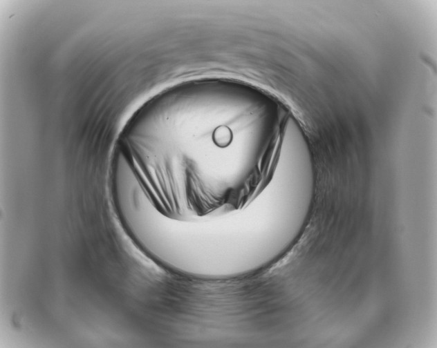 X0000095901518200802011117