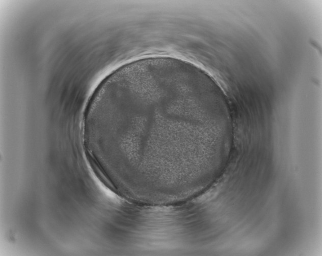 X0000095901519200802011117