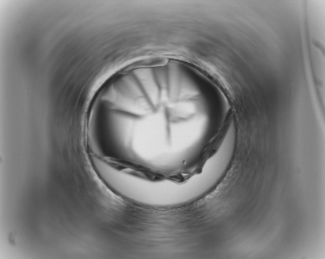 X0000095901520200802011117