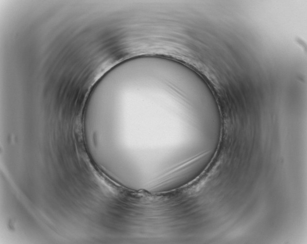 X0000095901521200802011117