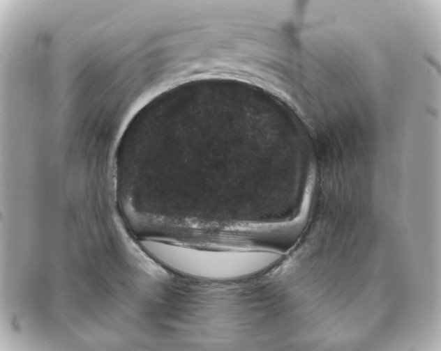 X0000095901522200802011117