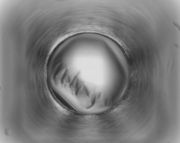 X0000095901523200802011117