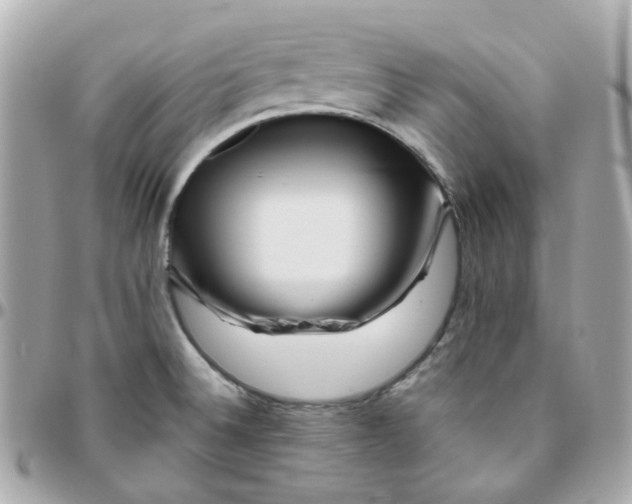 X0000095901524200802011117