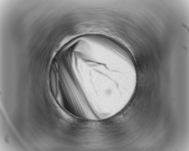 X0000095901525200802011117