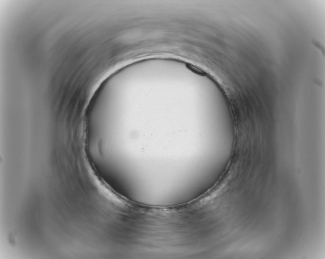 X0000095901526200802011117