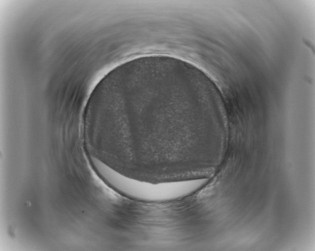 X0000095901527200802011117