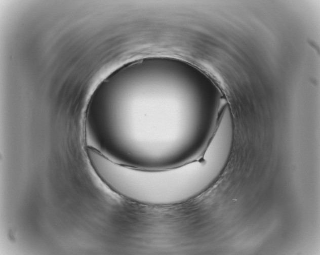 X0000095901528200802011117