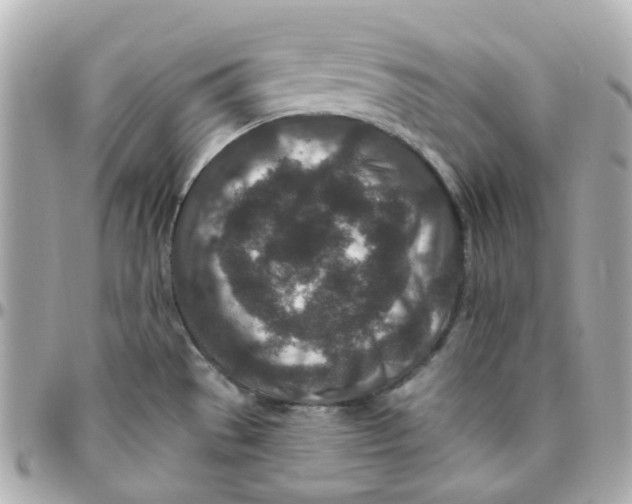 X0000095901529200802011117