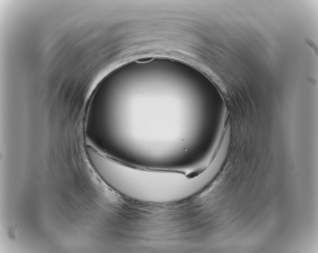 X0000095901530200802011117