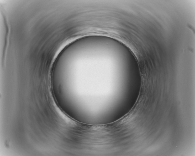 X0000095901531200802011117