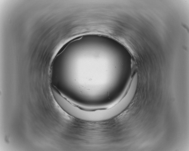 X0000095901532200802011117