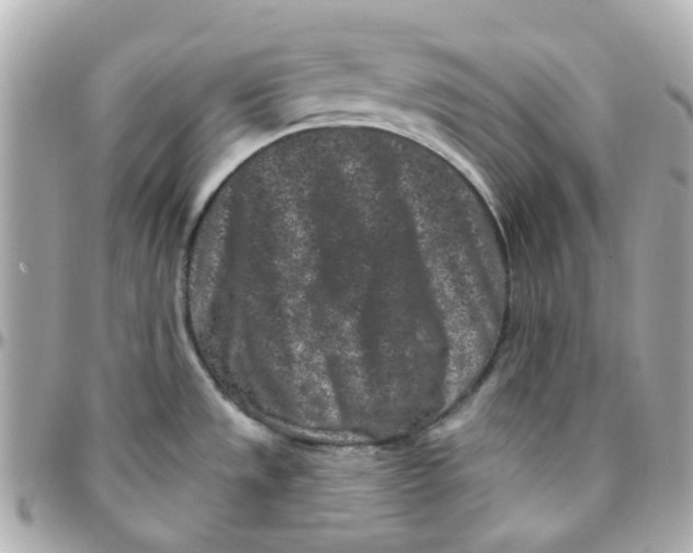 X0000095901533200802011117