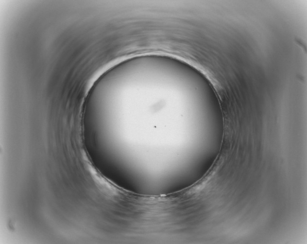 X0000095901534200802011117