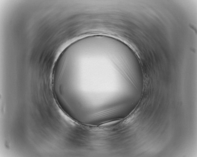 X0000095901535200802011117