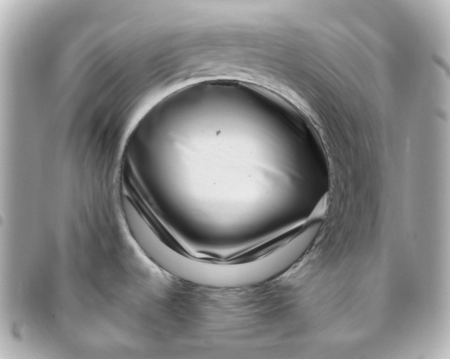 X0000095901536200802011117