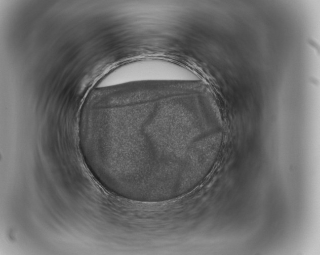 X0000095900002200802081151