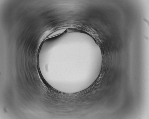 X0000095900003200802081151