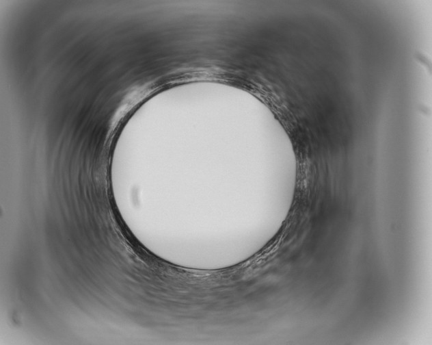 X0000095900004200802081151